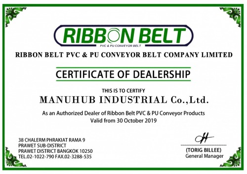 Ribbon Belt PVC